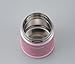 Zojirushi Stainless Steel Food Jar, Small, Pink