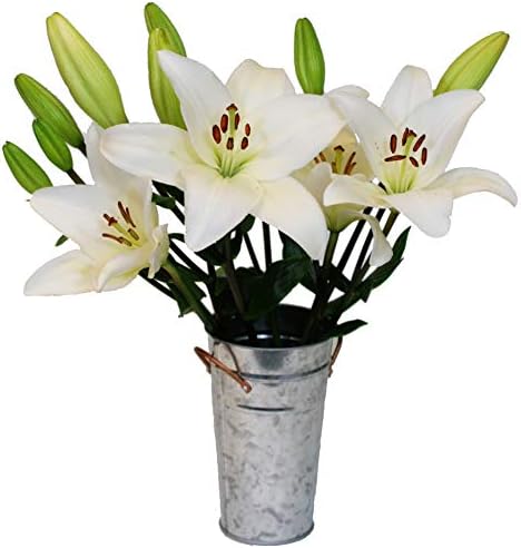 Stargazer Barn - Lemonade Bouquet - Yellow Unscented Lilies