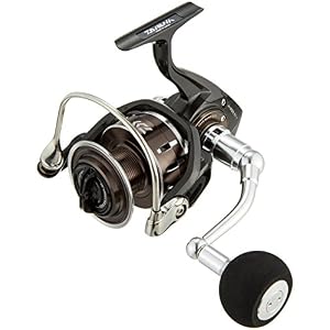 Daiwa (moulinet à Tambour 16 Kyatarina 4500h