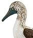 Safari Ltd. Blue Footed Booby – Realistic Hand Painted Toy Figurine Model – Quality Construction from Phthalate, Lead and BPA Free Materials – for Ages 3 and Up
