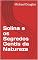 Livro Solina e os Segredos Gentis da Natureza
