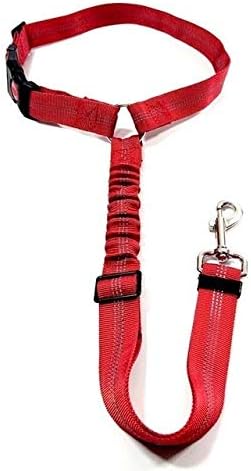 JINAN Correa de Perro de formación de Nylon Correa elástica ...