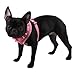 Authentic Puppia Vivien Harness, Pink, Small