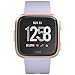 Fitbit Versa Smart Watch - Periwinkle/Rose Gold One Size (S & L Bands Included)
