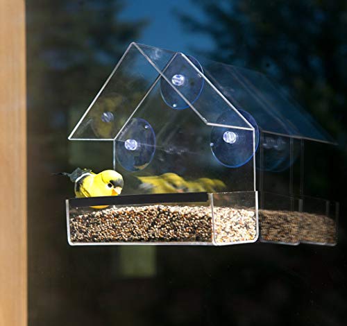 Bird Feeder, Newest Window Bird Feeder, 100% Wild Bird Transparent Viewing, 3 Strong Suction Cups + Seed Tray + Drain Holes, Best Outdoor Bird Feeder Kits, for Cardinal, Wild Birds, Chickadees - Thumbnail 6