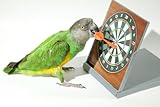 Parrot Wizard Birdie Darts Trick Training Prop