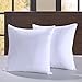 Homelike Moment 20x20 Feather Down Pillow Throw Pillow Insert Square Couch Pillow Inserts Set of 2 20 x 20 in