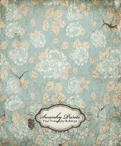 Swanky Prints PB-60HZ-HGCD 4' x 4' Floral Cracking Concrete/Shabby Chic Vinyl Photography Backdrop