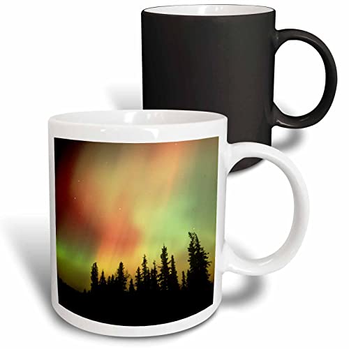 3dRose Aurora Borealis, Northern Lights, Alaska - US02 KSC0052 - Kevin Schafer…