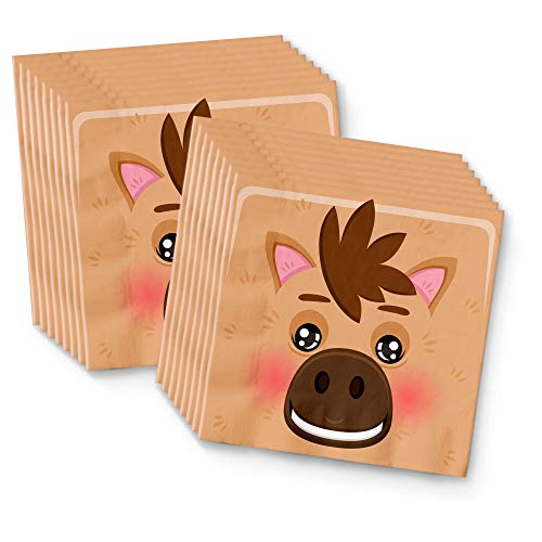 Horse Birthday Party Supplies Set Plates Napkins Cups Tableware Kit for 16