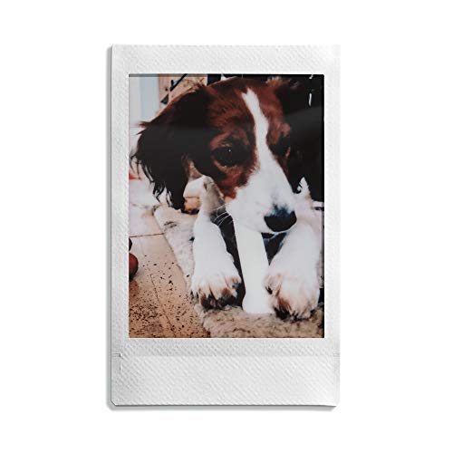 Fujifilm - Twin Films pour Instax Mini - 86 x 54 mm - 10 feuilles x 2 paquets = 20 feuilles(L'emballage peut varier) - Image 6
