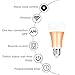 Wowfeel Smart Wifi LED Light Bulb 7W Dimmable Multicolored Color Changing Lights Work with Amazon Alexa, Smartphone Free APP Control, Silver, 7W