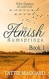 What Happens In Asheville (An Amish Rumspringa) by Tattie Maggard