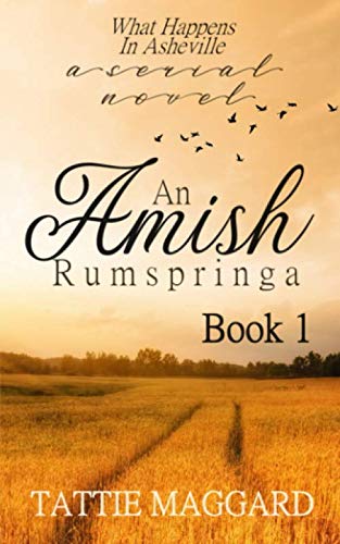 What Happens In Asheville (An Amish Rumspringa) by Tattie Maggard