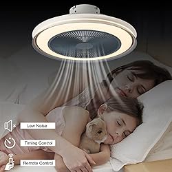 EIHIWD 20in Ceiling Fan with Lights Remote Control