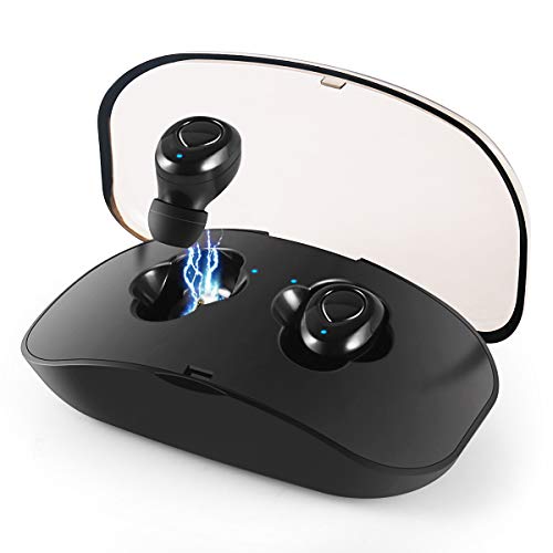 Wireless Earbuds, Bluetooth Headphones V4.2 Mic Earpieces True Wireless Stereo Hands Free Call in Ear Sweatproof Sport Earphones Headset with Charging Box