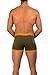 Lumber Collection - AnatoFREE Boxer Brief 3 inch Leg - Cypress - Large
