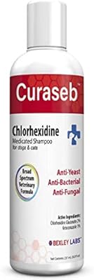 christmas pajamas for the whole family and dog