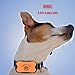 Poofy Tail Non-Shock Bark Collar for Dogs – Stop Barking Using a Humane and 100% Safe Device That Has Seven Adjustable Sound and Vibration Levels – Works on All Breeds (11-120 LBS)thumb 4