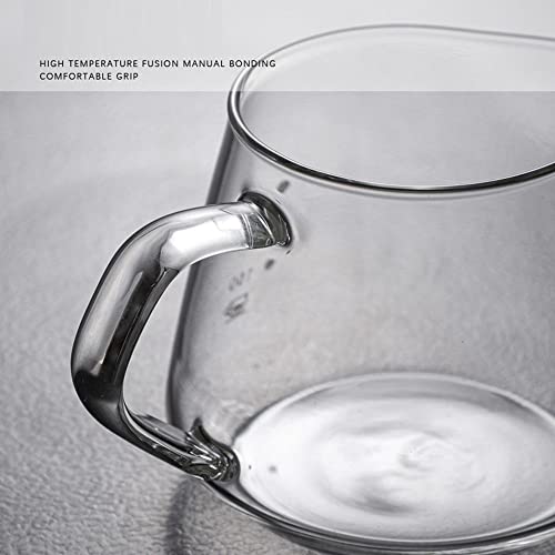 HOOPZOZA 600ml Glass Drip Coffee maker coffee Pot with Drip Filter Coffee Share Pot (A-600 set)
