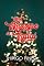Livro Meu Milagre de Natal