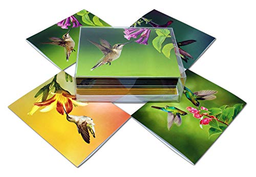 Hummingbird and Flowers Greeting Cards - Summer Note Cards - Blank on the Inside - Includes 12 Cards and Envelopes - 4 Unique Designs - 5.5" x 4.25"