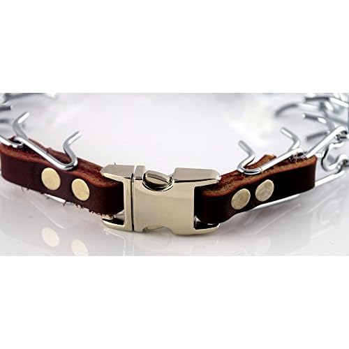 herm sprenger chrome prong collar