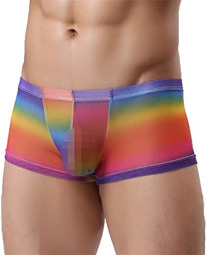 Hot Sale!Simayixx Sexy Mens Underwear Shorts Underpants Perspective Pouch Soft Briefs Panties (L, Multicolor)