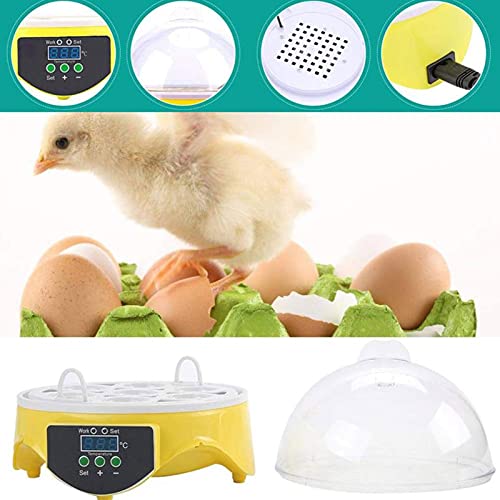 Nienyu Mini-Ei-Inkubator, 7-Loch-Micro-Inkubator mit Temperaturfeuchtigkeitssteuerung, tragbarer Zuhause-Inkubator für… – Bild 8
