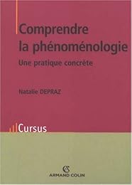 Comprendre la phénoménologie