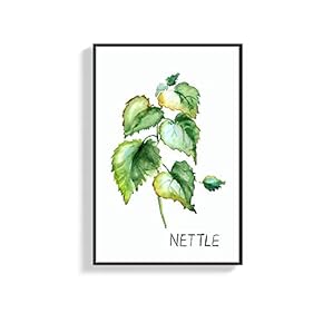 Framed Canvas Wall Art for Living Room, Bedroom Nettle Canvas Prints for Home Decoration Ready to Hang - 16x24 inches