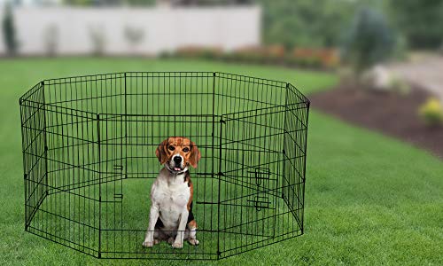 beagle training pen wire