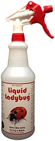 Liquid Ladybug RTU 32oz 704635