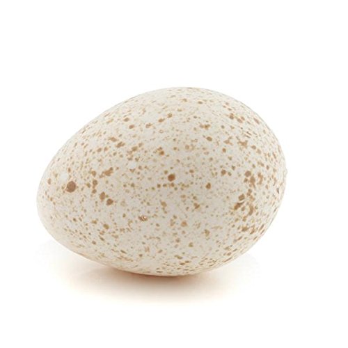 Putenei Truthahn Ei Amazon De Lebensmittel Getranke