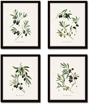 Antique French Olive Prints Set Botanical Prints, Wall Art Prints, Vintage Wall Art, Vintage Wall Decor, Vintage Art Prints, Botanical Wall Decor, Vintage Botanical Prints - Unframed