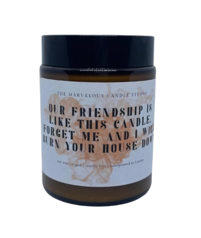 Friendship Flame Candle | Friendship Humorous Funny Novelty Gift | Friend Home Decor for Her/Him | Friend Unique Gifts (Friendship)