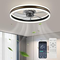 Fszdorj Ceiling Fan with Light, 2024 Upgraded