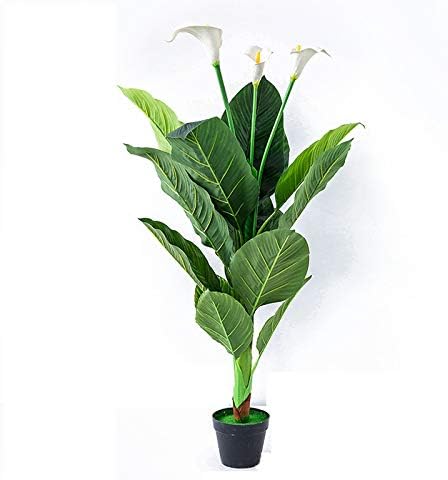 人工観葉植物 人工オランダカイウ属植物 Jcxoz マルチ支店熱帯鉢植え 日時指定 人工観葉植物 人工オランダカイウ属植物 Jcxoz マルチ支店熱帯鉢植え 日時指定