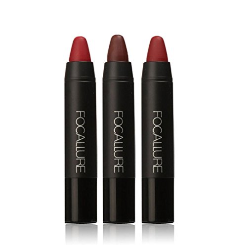 lip gloss,BeautyVan FOCALLURE Long-lasting Red Velvet Matte Color Pencil Lipstick Crayon Makeup Set (A)