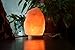 Levoit Large Salt Lamp, Pink Crystal Hand Carved Himalayan Sea Salt Lamps with Premium Rubberwood Base, Dimmable Touch Switch, Luxury Gift Box(ETL Certified, 2 Extra Original Bulbs Included)