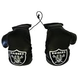 NFL Oakland Raiders Mini Boxing Gloves, 4