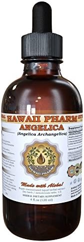 HawaiiPharm Angelica Liquid Extract, Organic Angelica (Angelica archangelica) Dried Root Tincture 4 oz