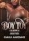 Livro BoyToy: As Aventuras de Um Michê quebrado, falido e emocionalmente indisponível (Clube dos Corações Partidos)
