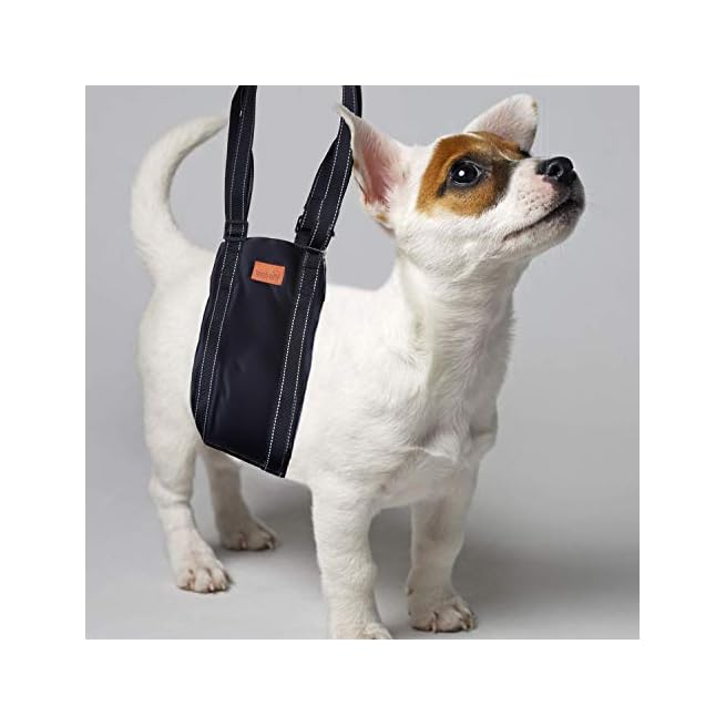 hip sling for dog