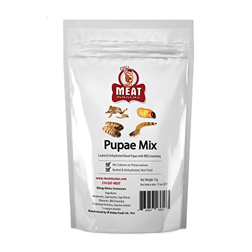 Meat Maniac BBQ Pupae Mix Mealworms, Superworms, Sago Worms & Silkworms Reptiles