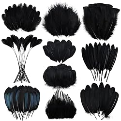 FeelfunFeather 300 pcs Black Craft Feathers- 10