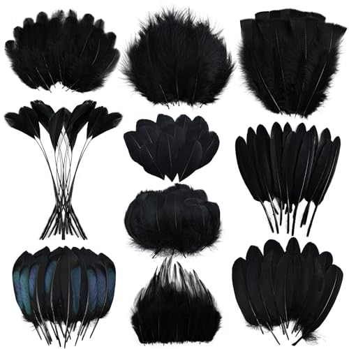 FeelfunFeather 300 pcs Black Craft Feathers- 10