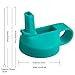 The Mass Wide Mouth Straw Lid Compatibility Most Sports Water Bottle (Mint)