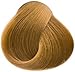 Goldwell Topchic Hair Color Coloration (Tube) 8GB Sah. Lt. Beige Blonde