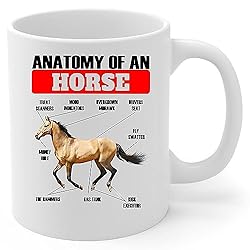 Lovesout Funny Buckskin Horse Anatomy Chart Coffee